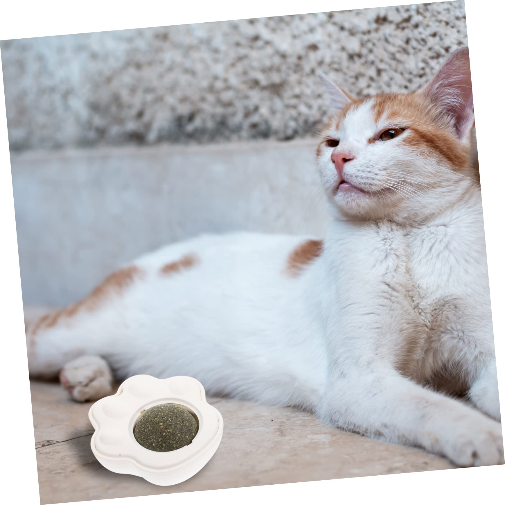 Yardwe 10sets Giocattolo Interattivo Per Gatti Da Palline Di Catnip Rotanti Gioco Per Pulizia Dei Denti e Divertimento Per Gatti Indoor Sicuro e Edibile
