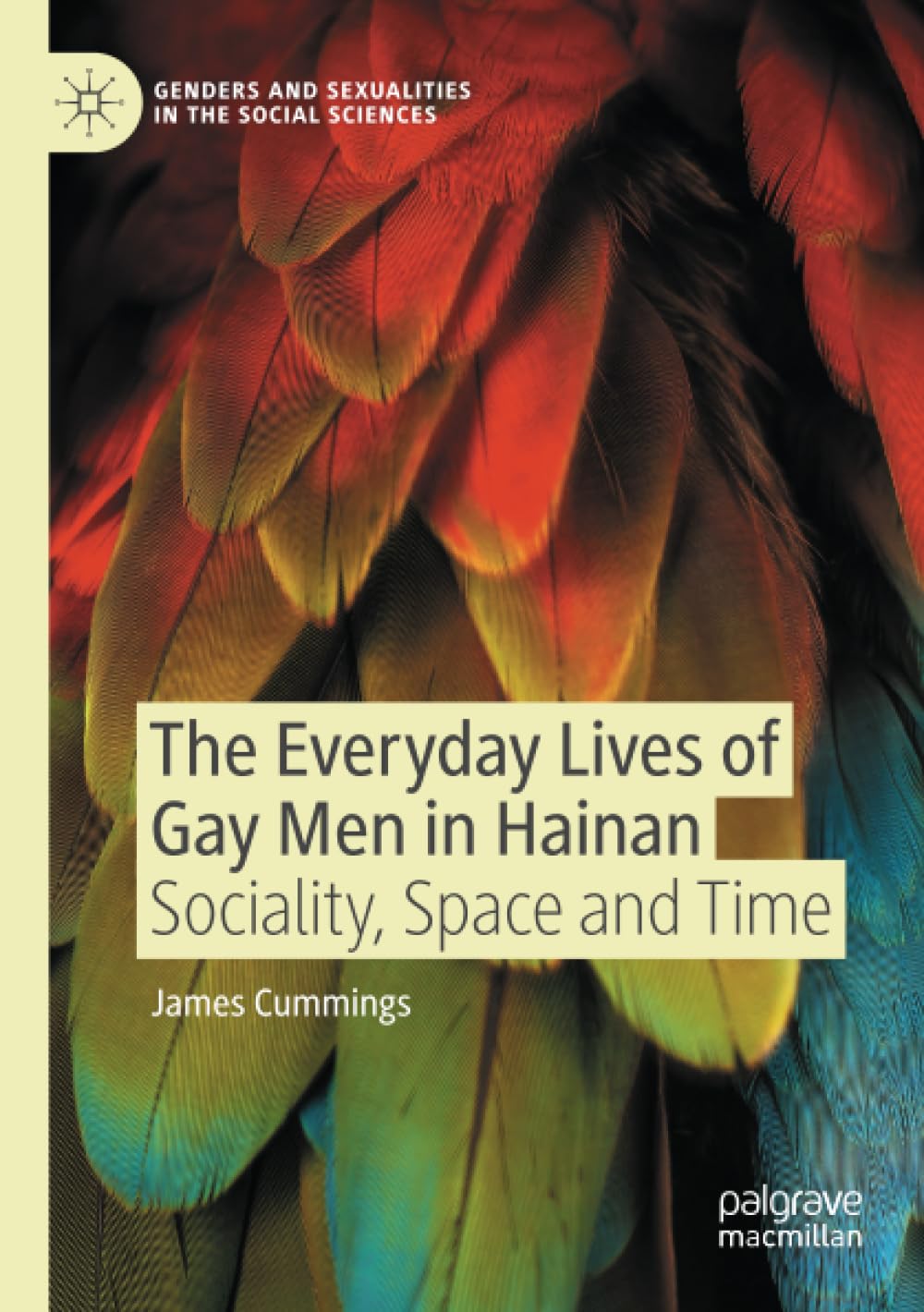 The Everyday Lives of Gay Men in Hainan: Sociality, Space and Time (Genders and Sexualities in the Social Sciences)