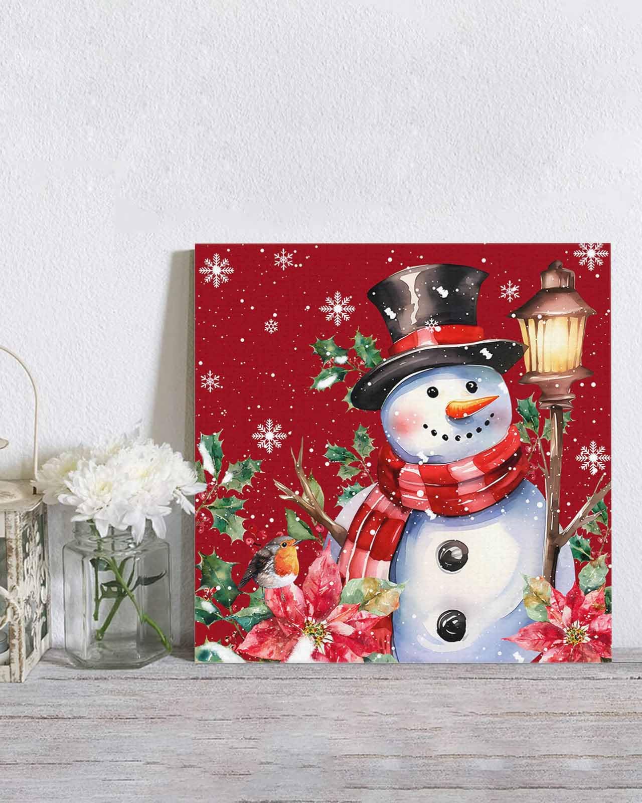 Amazon | Savannan DIY 数字でペイント、クリスマス 雪だるま 雪の結晶
