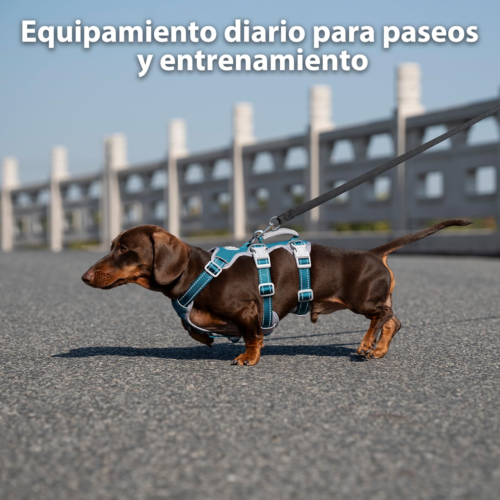 Huntboo Arnés para Perros No Escape, arnés a Prueba de Escapes, arnés Totalmente Reflectante con asa Acolchada, Transpirable, Chaleco Ajustable para Perros medianos de Paseo, adiestramiento y Carrera