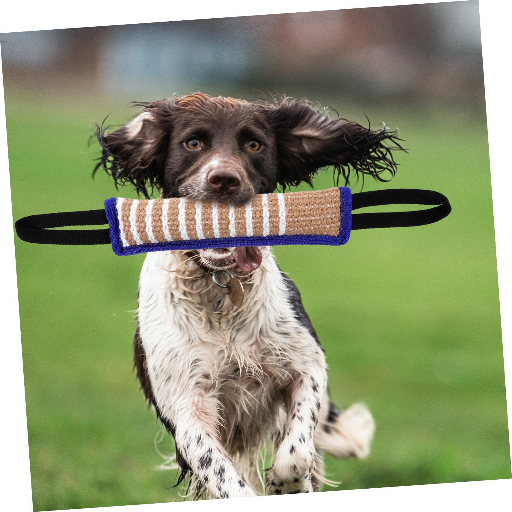 Supvox 3stücke Hundespielzeug Aus Jute Für Interaktives Training Robustes Molar-kauspielzeug Für Tug-of-war Und Apportieren Für Große Hunde Und Aktive Welpen