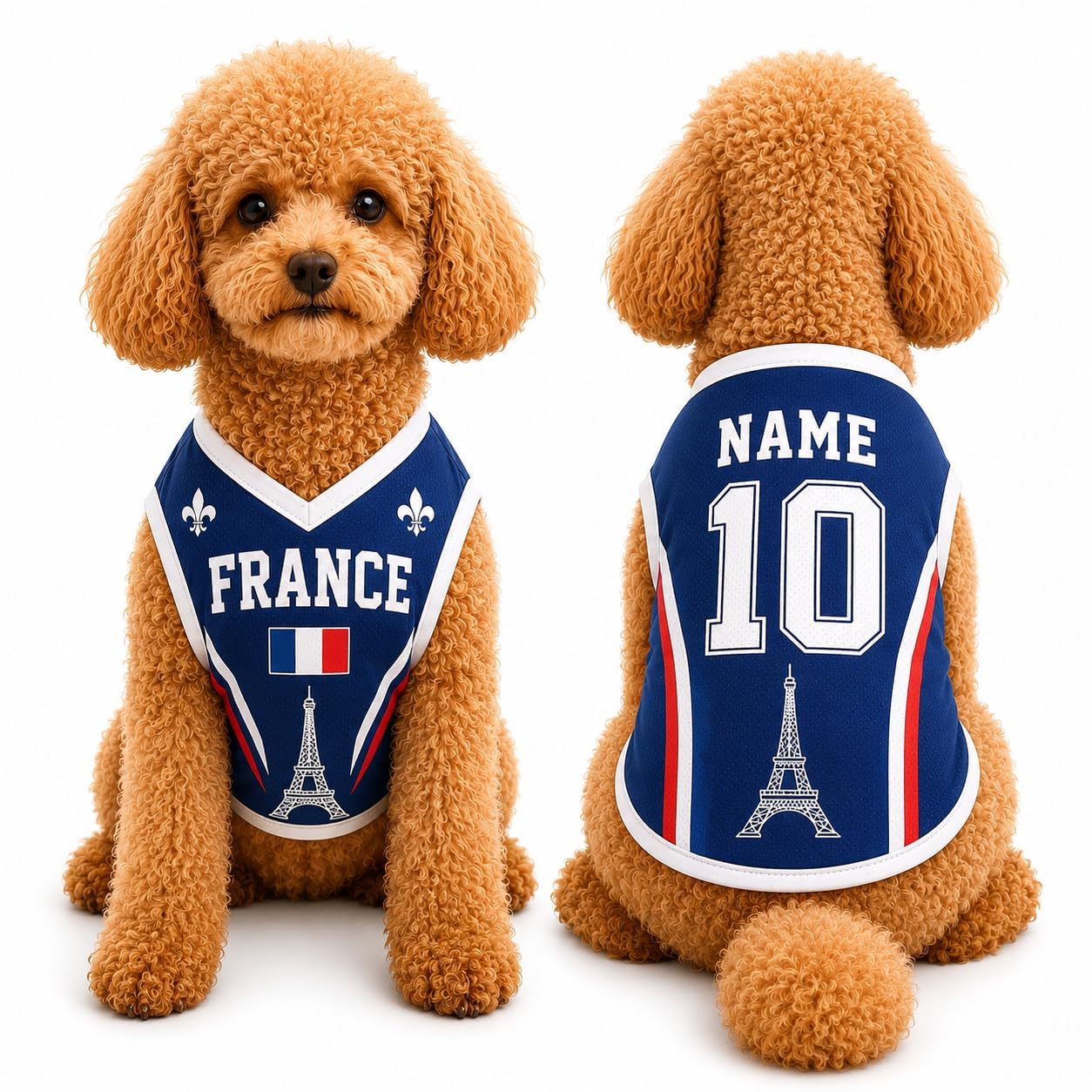 Custom Dog Football Jersey with Name Number Logo, Personalised 2026 Pet Jersey, Breathable Quick Dry T-Shirt for Small Medium Large Dogs, Gift for Fans