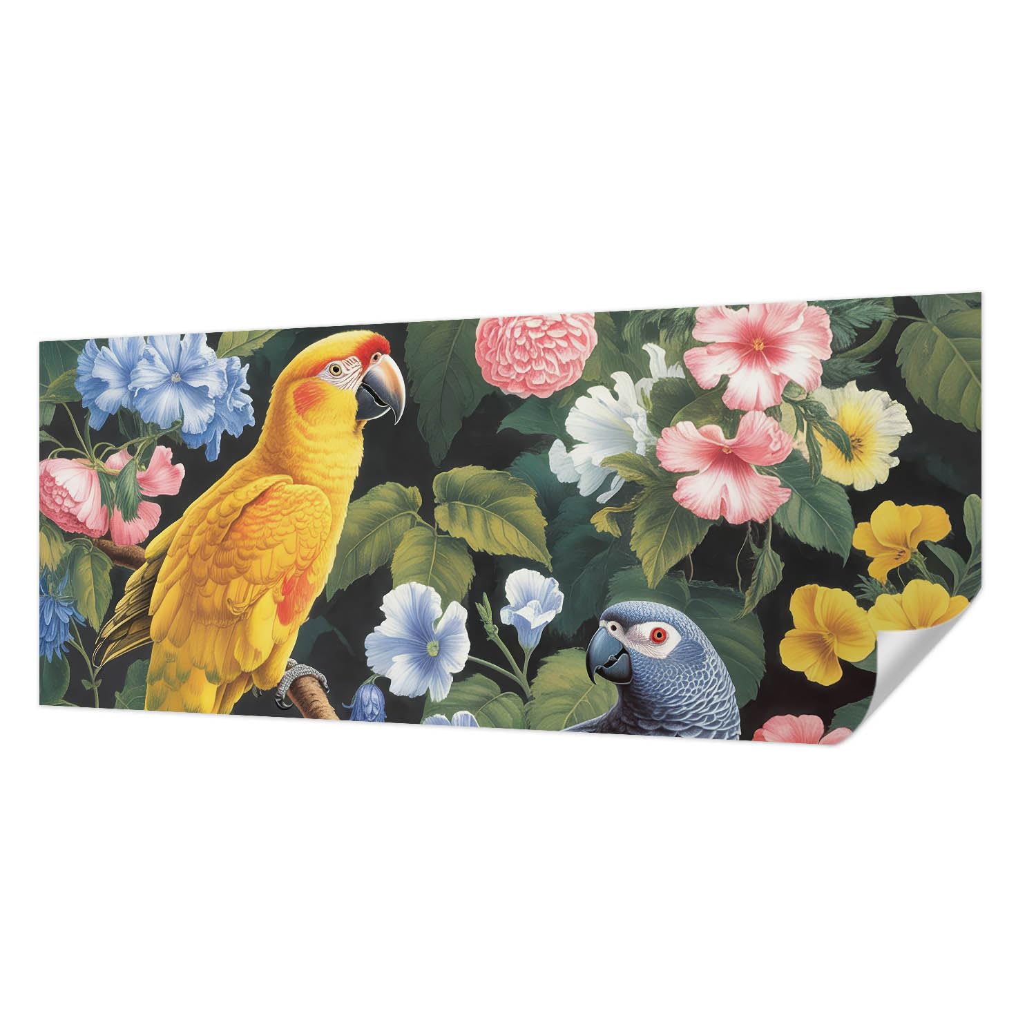 Papier peint panoramique oiseaux exotiques pour salon et chambre