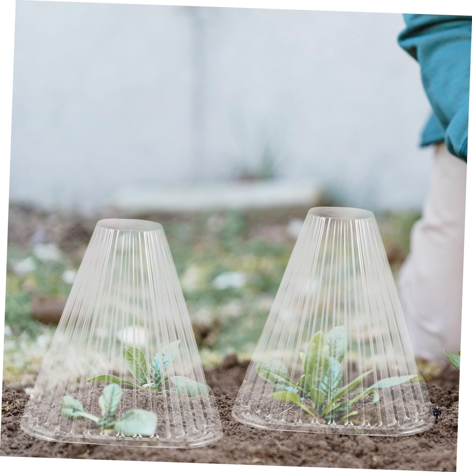 Happyyami Cloche Conique de Protection pour Plantes 10 Pièces en Pet