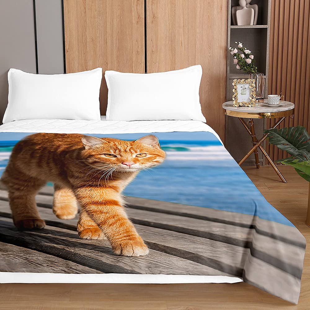 Coperta Gatto Nero 3D Per Divano - Sherpa Morbida Con Stampa Animale - 150x200 Cm - Foto 7