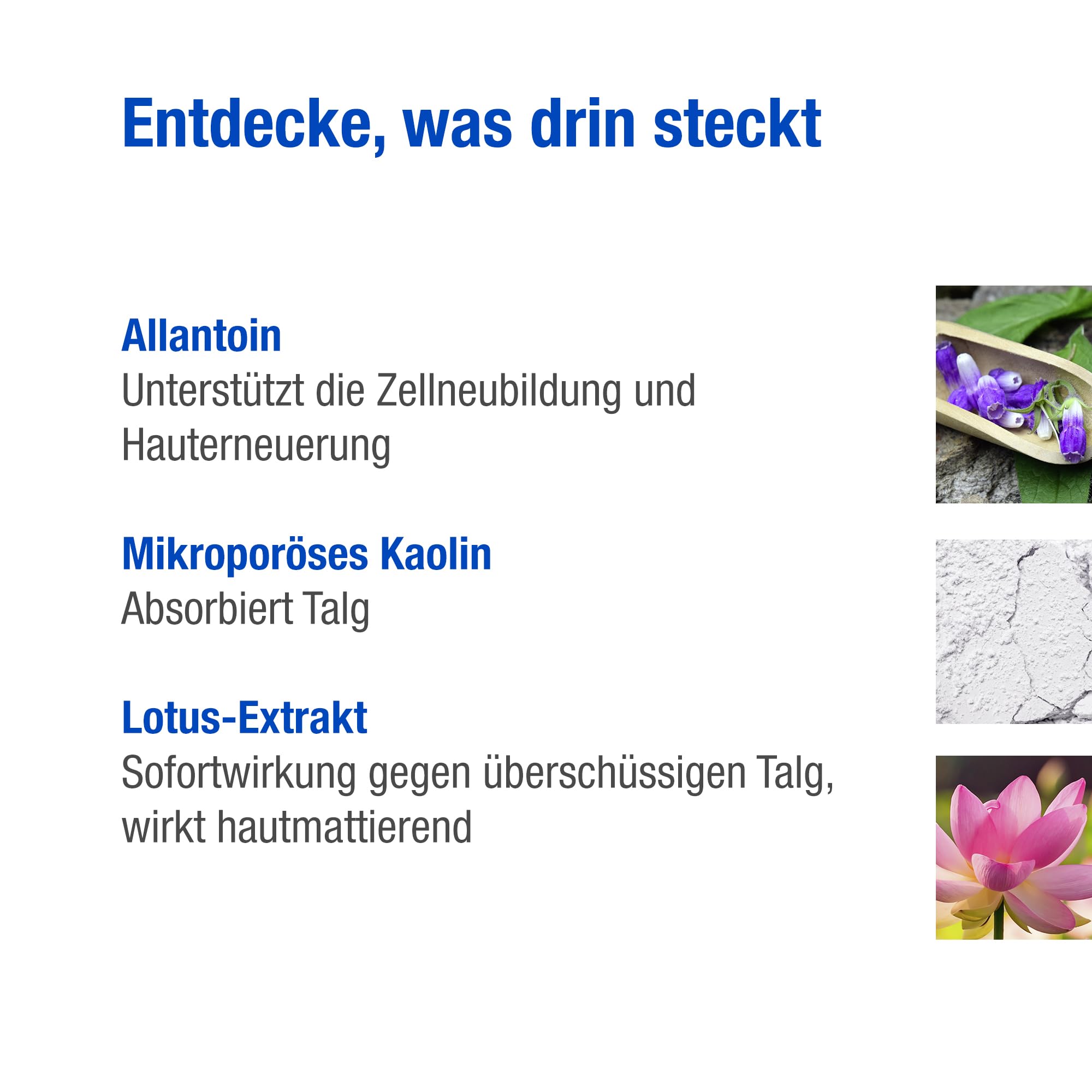 aknederm pure Reinigungsmaske 12 x 6ml I klärende Gesichtsmaske mit Lotus-Extrakt I mattierende Porzellanerde-Maske entfernt Hautfett I Anti-Glanz Maske Gesicht für gründliche Reinigung
