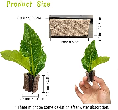 Miniatura 6 de MiniJungle Paquete de 90 cápsulas hidropónicas, esponja hidropónica compatible con varios sistemas de plantación Aero-Garden, esponja de repuesto