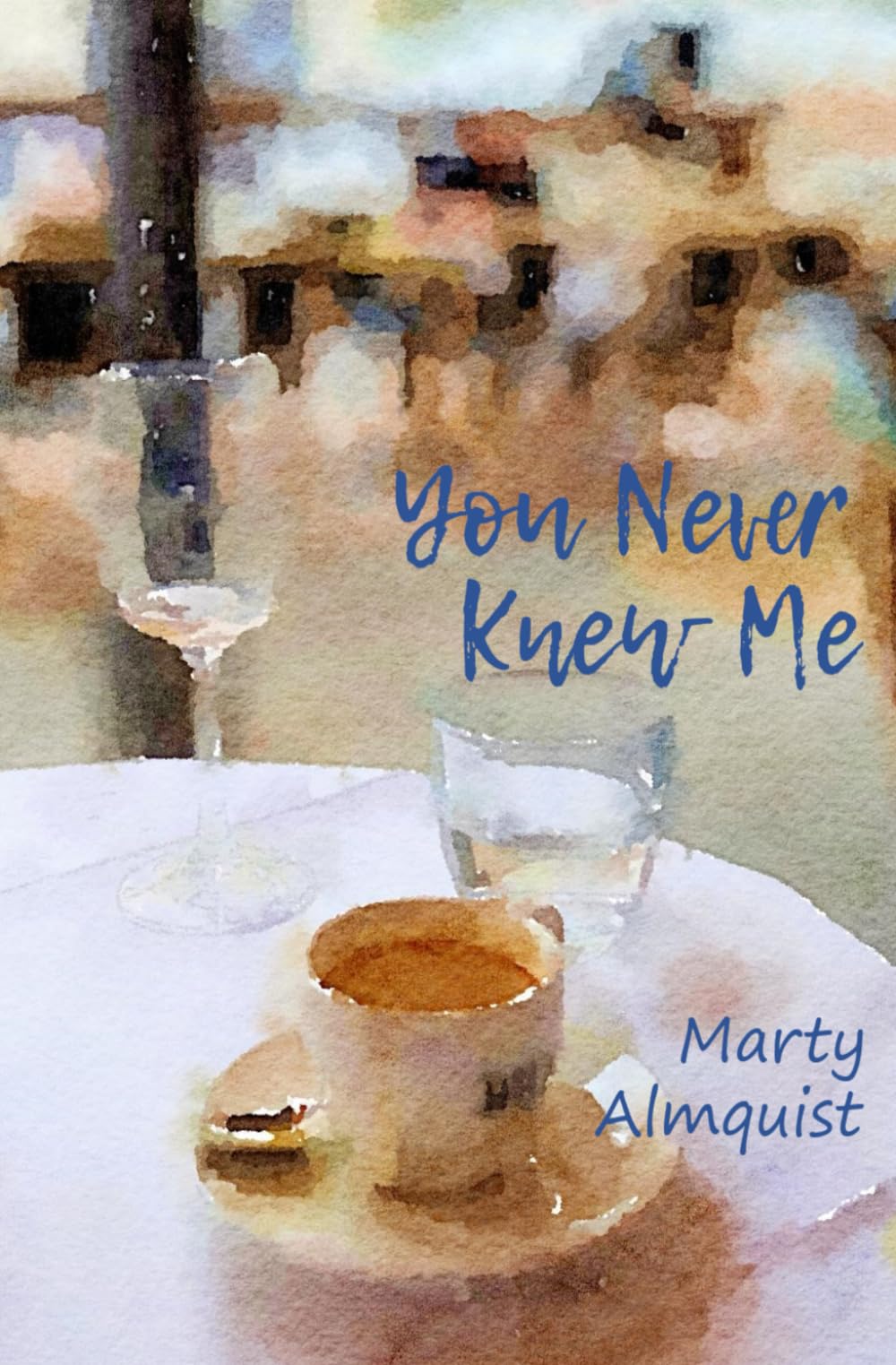 You Never Knew Me