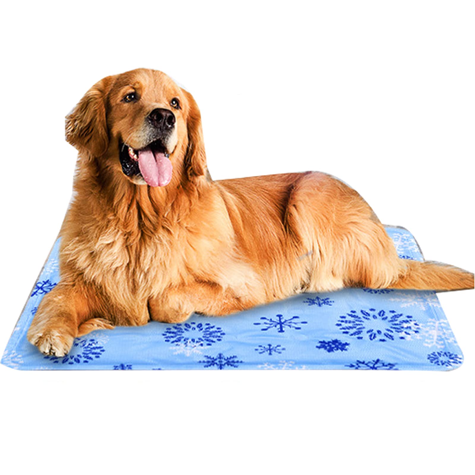 Materassino estivo per cani, perfetto per cucce e gabbie, offre un comodo riposo e isolamento, ideale per uso interno ed esterno