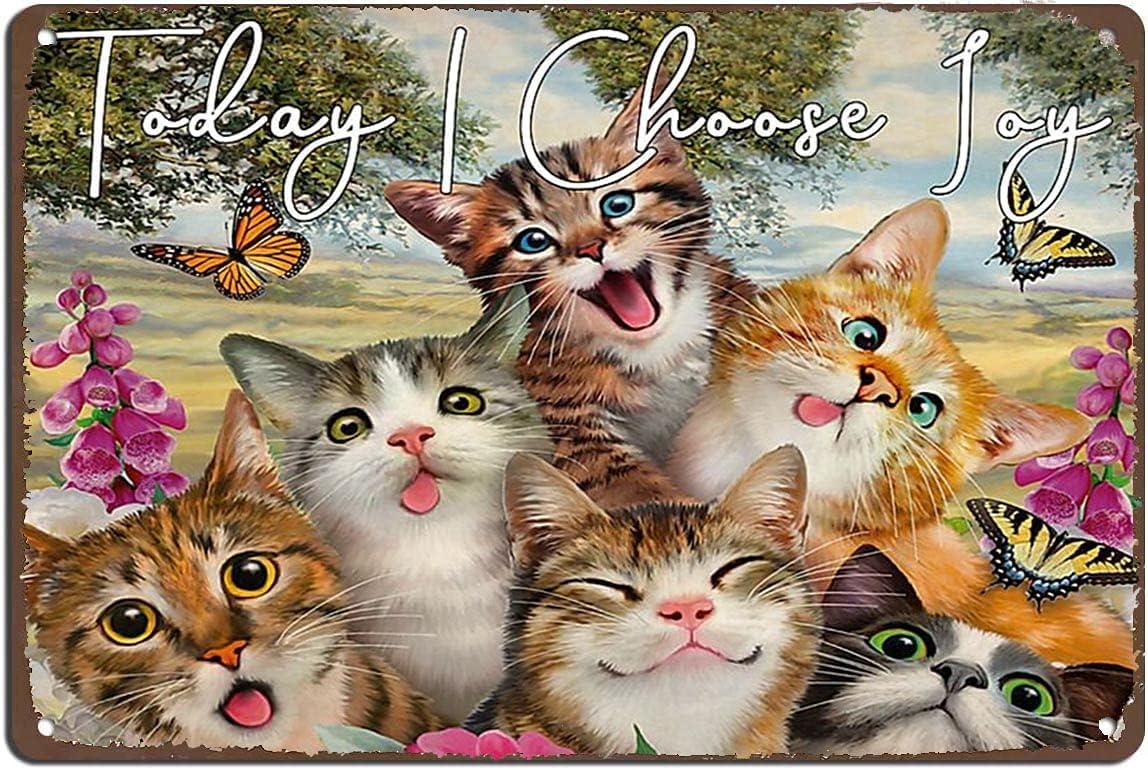 Acdoet Tin-05 Vintage Aluminum Metal Sign Today I Choose Joy Bathroom Decor Vintage Wall Art Home Sign Country Home Decor For Home, Living Room, Kitchen,Bathroom Decoration 12X16 Inch