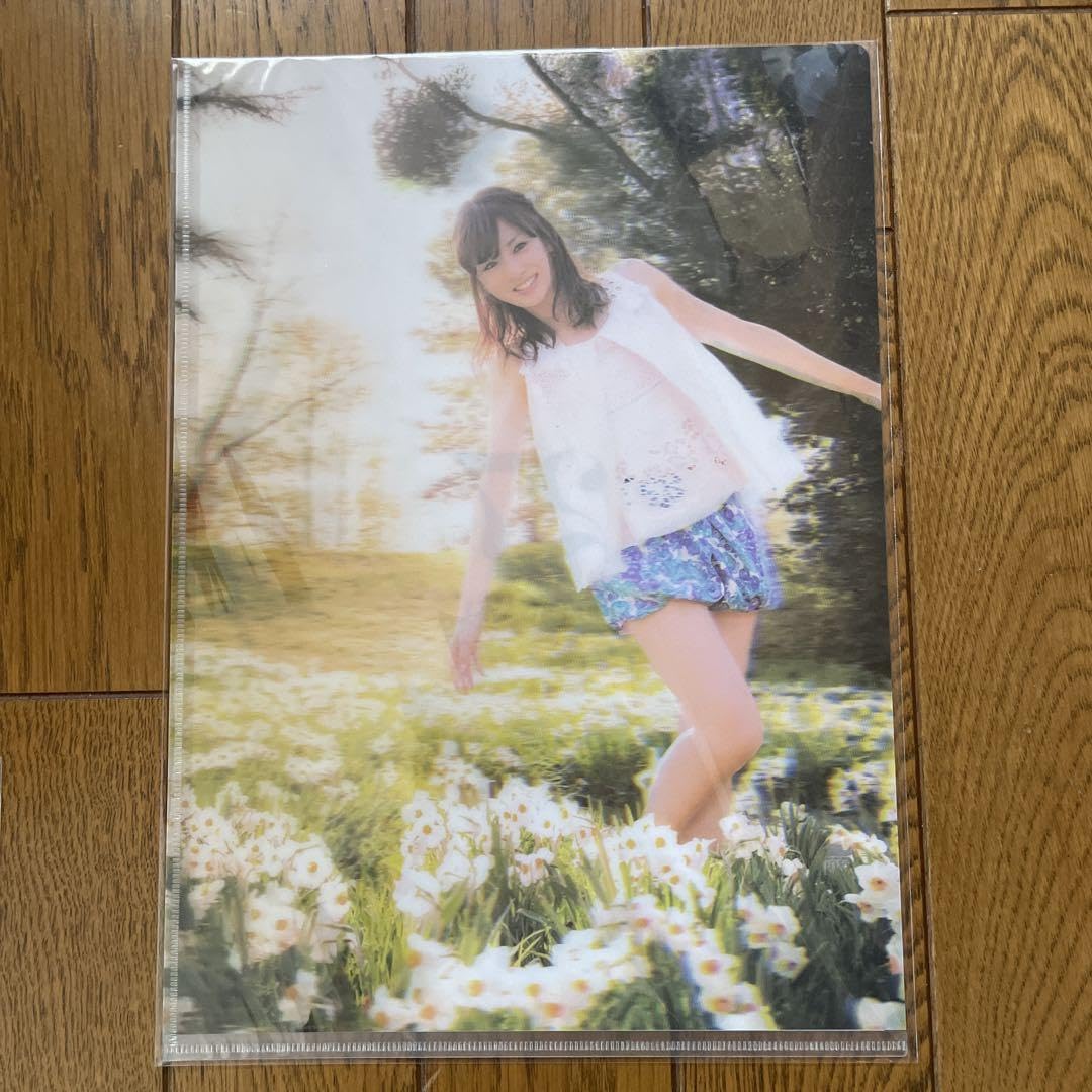 Amazon.co.jp: 北川景子 写真集 27 記念 グッズ 3Dクリアファイル 2枚