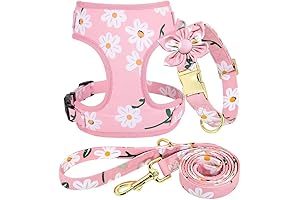 Cute Girl Dog Collar and Leash Set with Flower