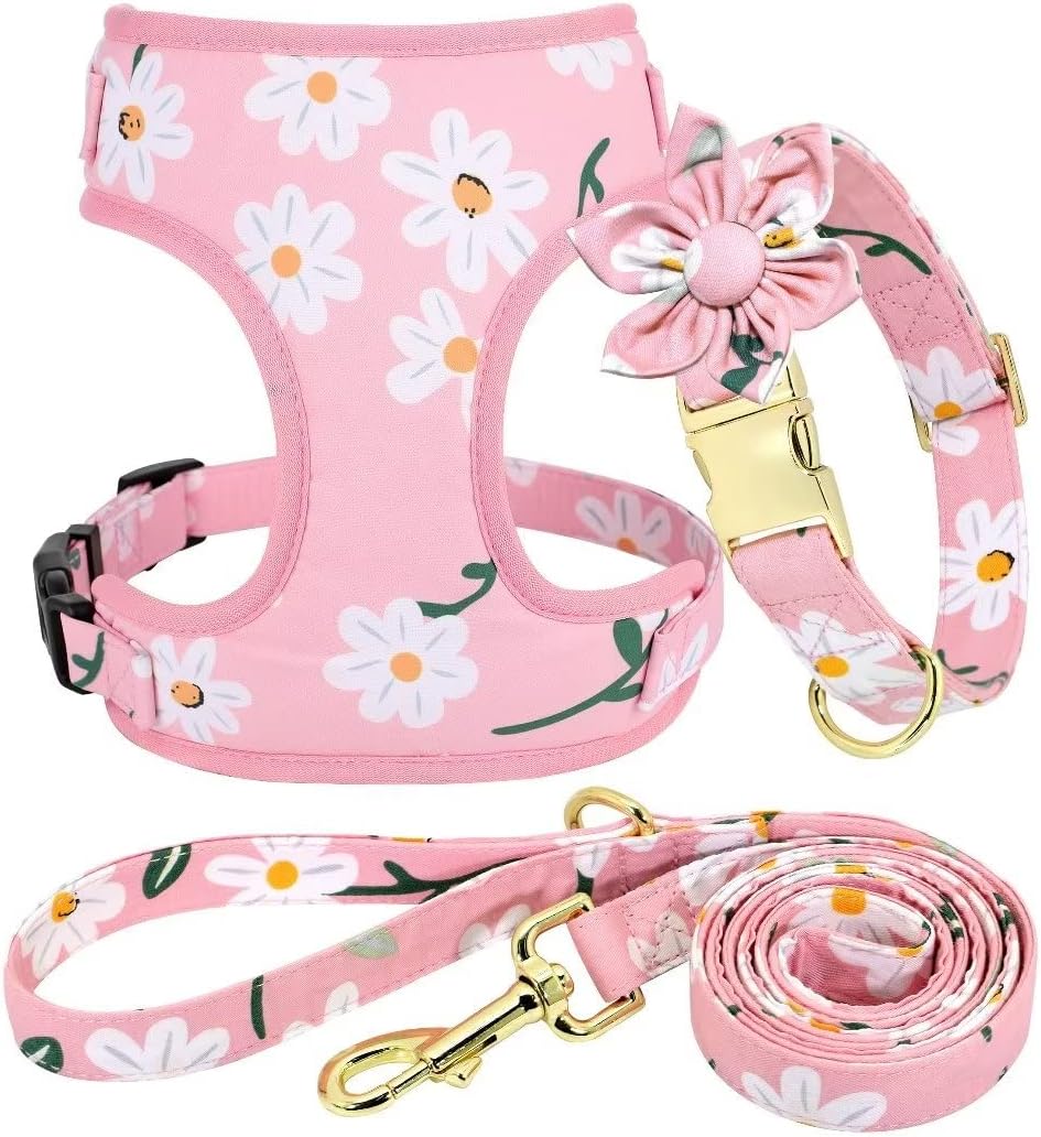 Beirui Cute Girl Dog Collars, Harnesses & Leashes Set
