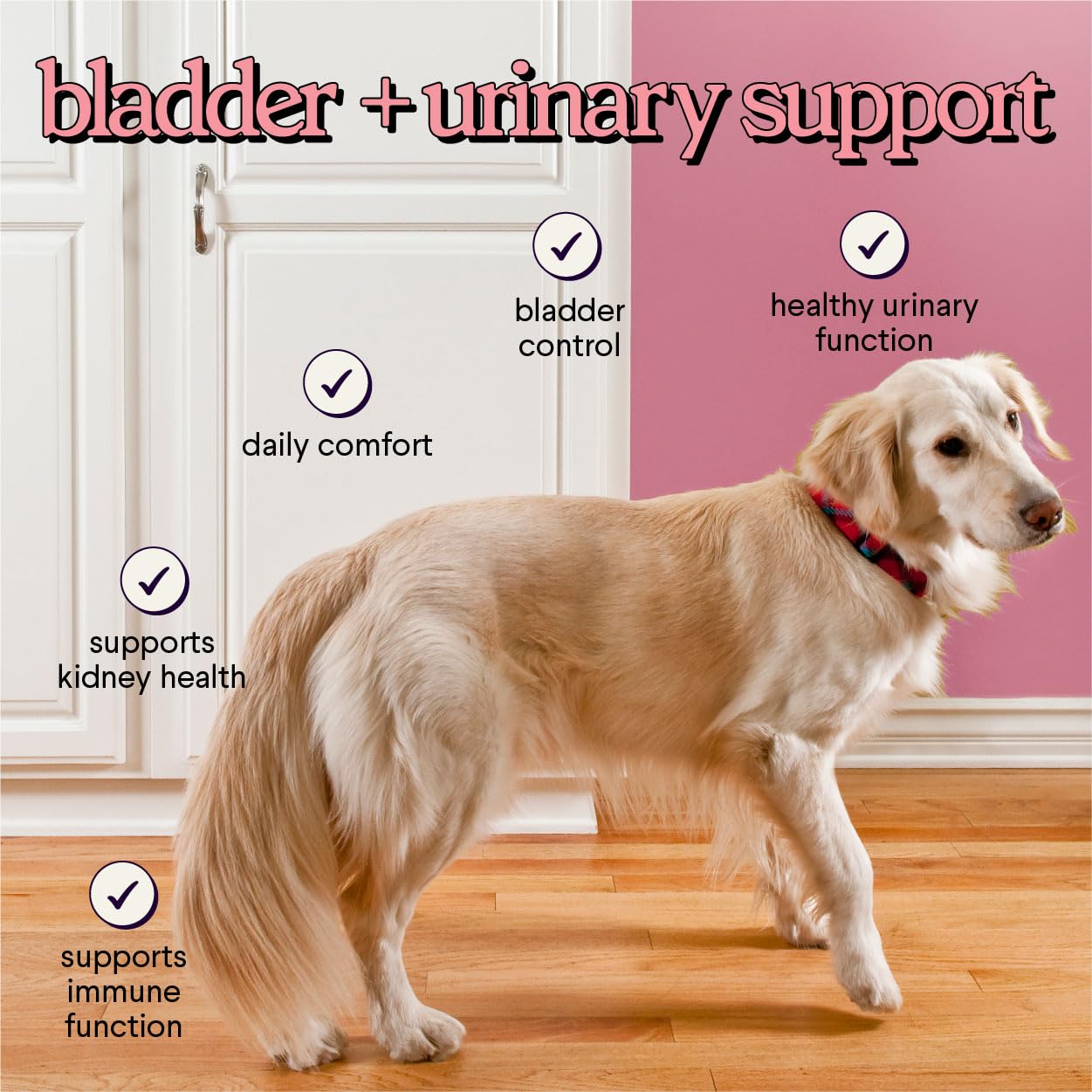 Cranberry Supplement for Dogs UTI - Urinary Tract & Bladder Chewables 120ct — Amazon image 4