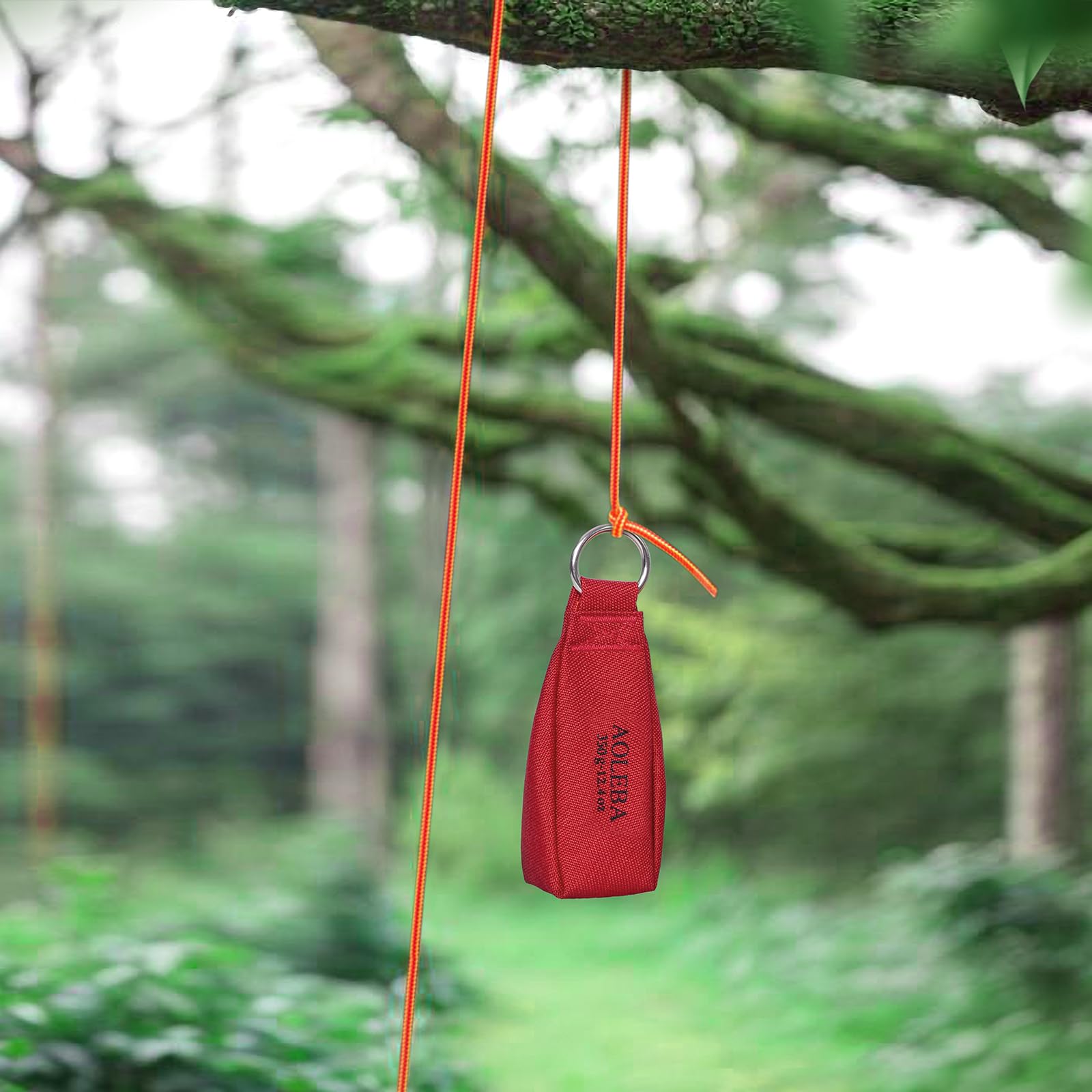 AOLEBA Arborist Throw Line Kit, Slick Arborist Rope Throw Weight Set with Reflective Storage Bag, 100% Polyester Rope, Arborist Equipment for High Limb, Throwing, Climbing, Tree Cutting