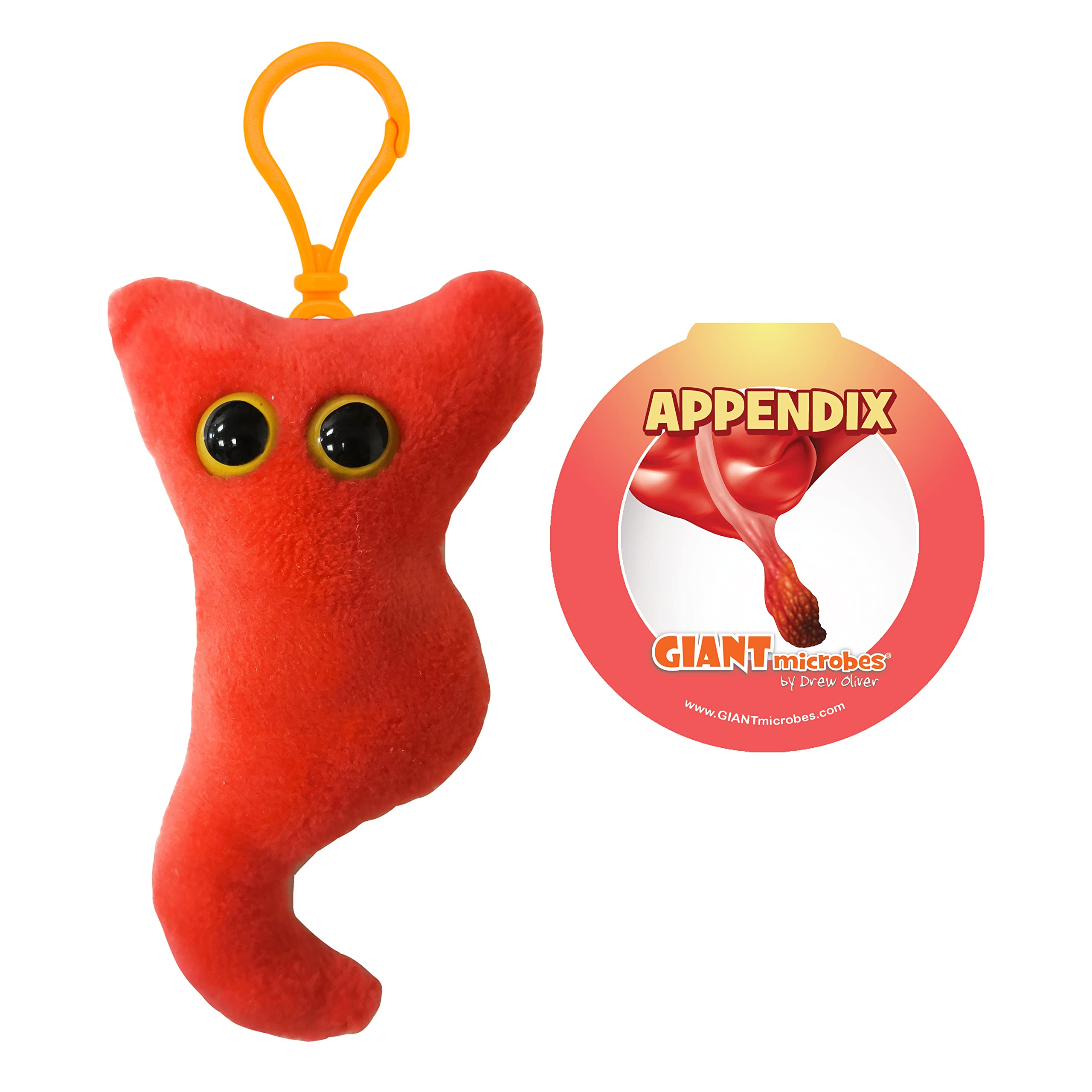 Amazon.com: GIANT MICROBES Appendix Plush Keychain - Educational