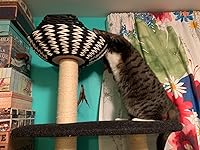 Review Image by Amaluna Amaluna