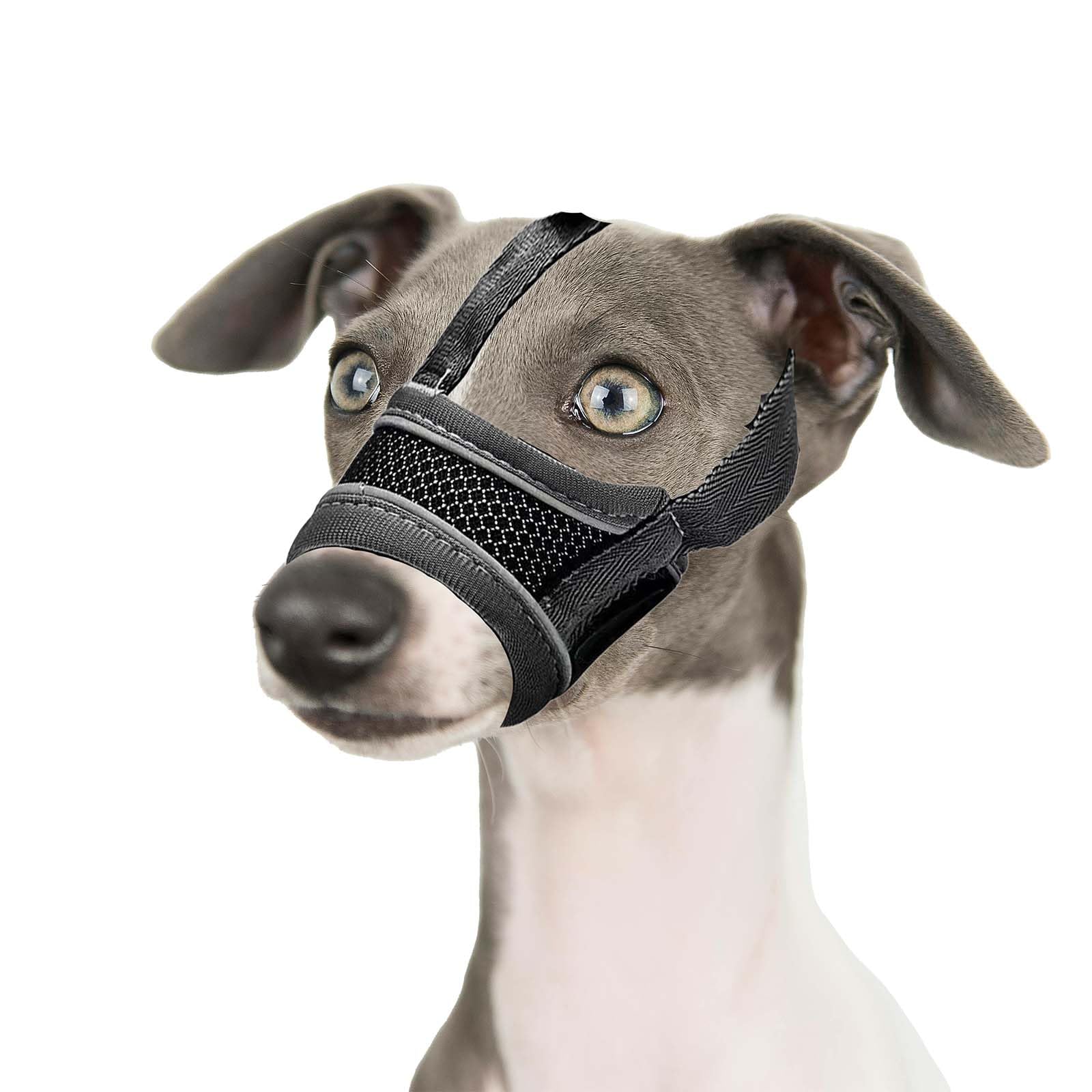 Comfortable Breathable Mesh Dog Muzzle with Headband, Adjustable Design Dog Muzzle for Preventing Biting Barking