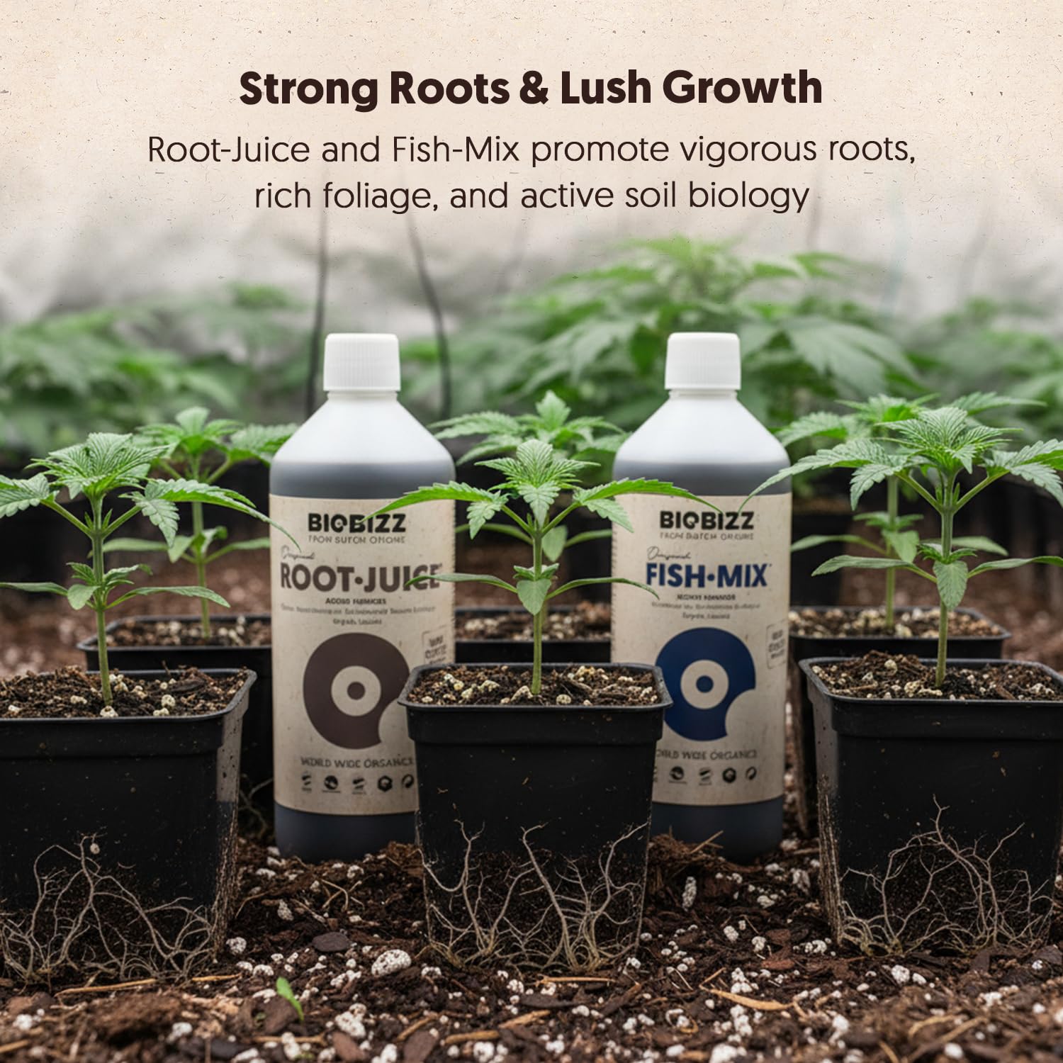 BioBizz All·Pack Outdoor - Complete Organic Nutrient Kit (6 x 16.9 fl oz) | Natural Fertilizer for Outdoor Plants, Soil Enhancer, Root & Bloom Booster for Garden Growth