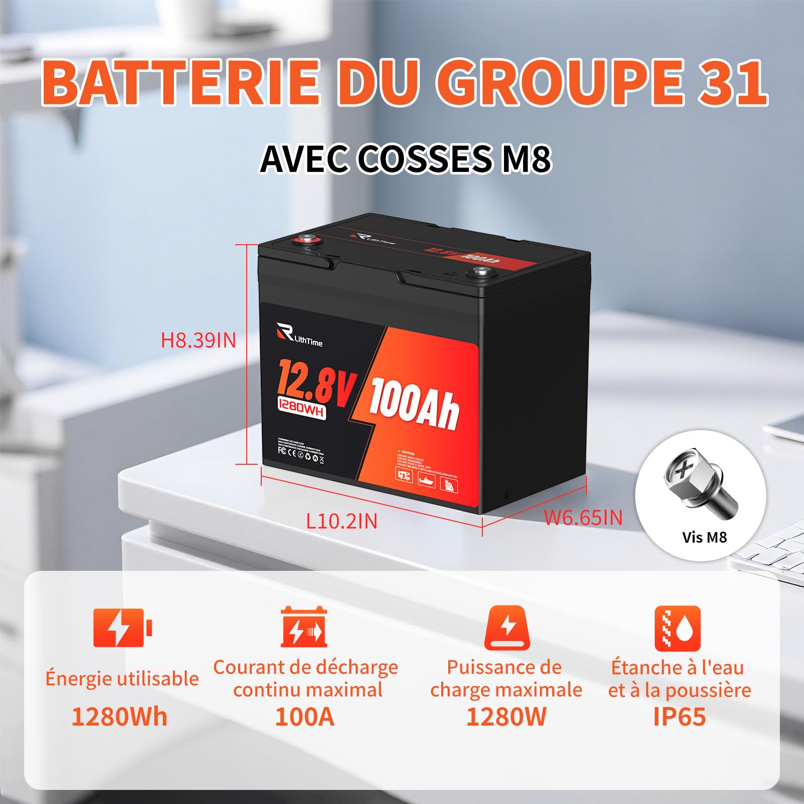 Batterie LiFePO4, Batterie Lithium 12V 100Ah 9.5Kg Group 24 Grade A, 98% d'Efficacité, 16000 Cycles, BMS 100A, IP65, Support Alliage, pour Camping-Car, Solaire, Système Off-Grid