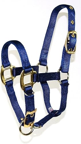 Hamilton Pet & Equine Hamilton - Caballo ajustable de nailon de 34 pulgadas, color azul marino