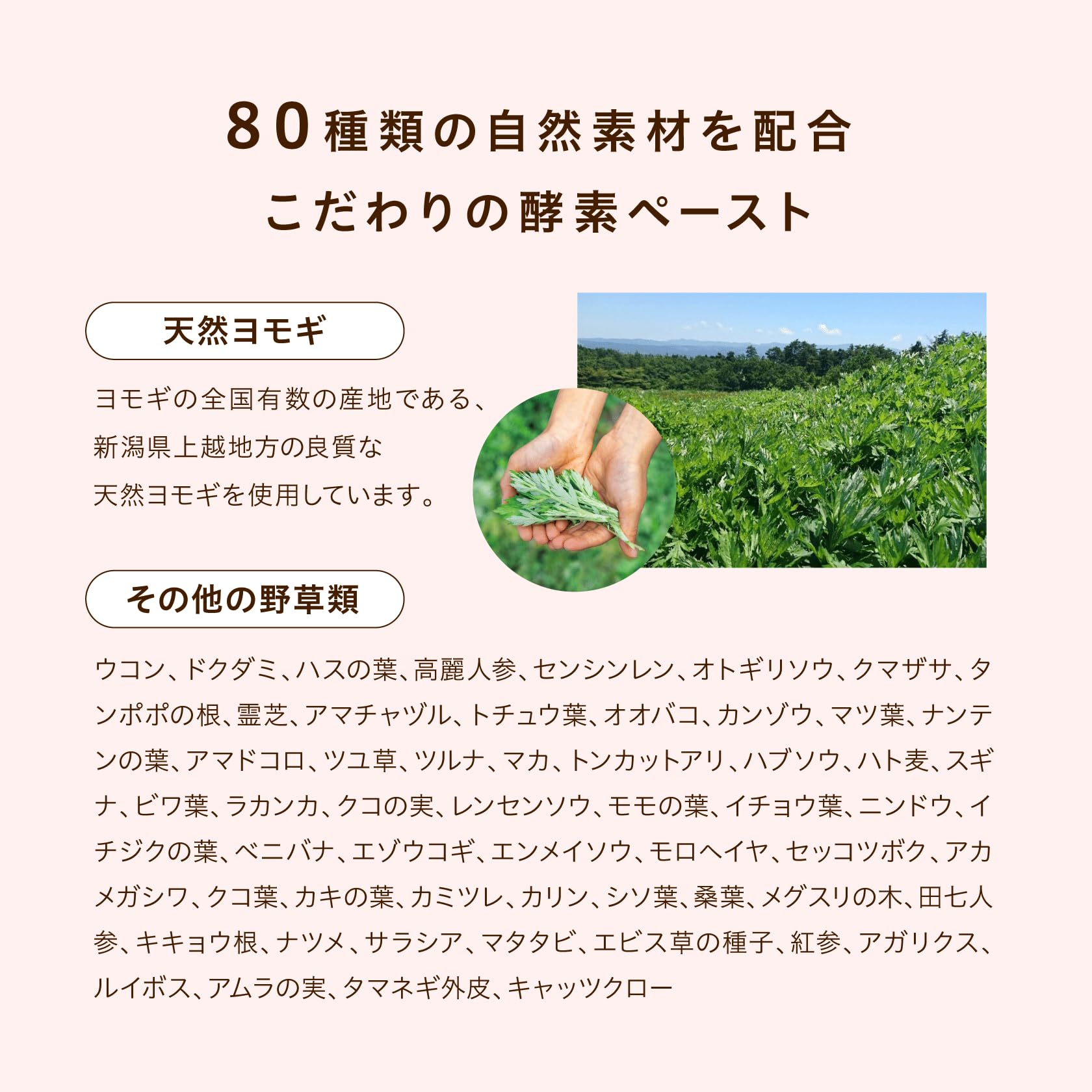 Amazon | プルソワン 美活酵素 | POURSOIN | マルチ酵素