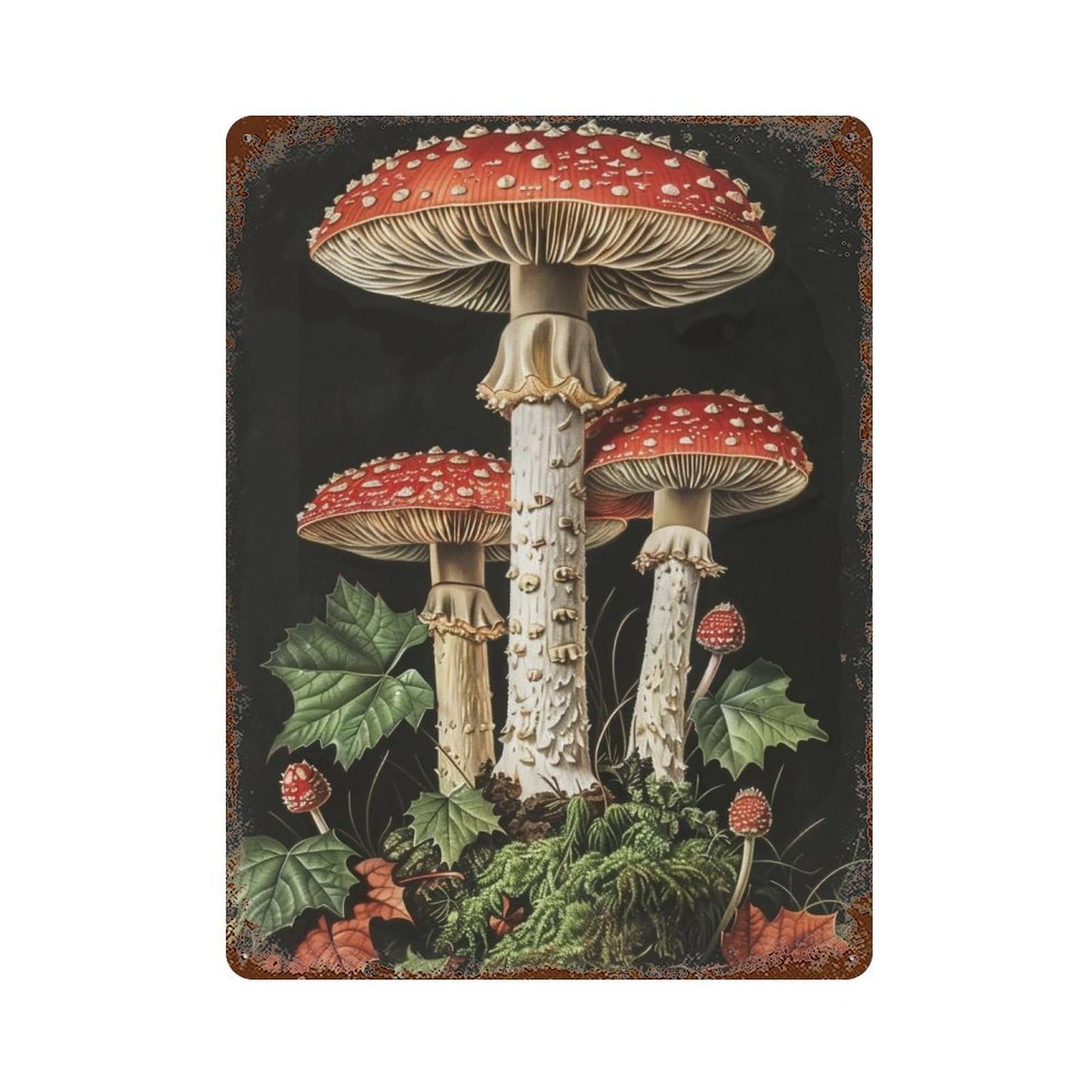 HDURYEYRYY Dark Forest Amanita Muscaria 01 Wall Retro Iron Vintage Art Metal Tin Sign Poster Modern Home Cofffee Club Art Bar Shop Decor 40x30cm