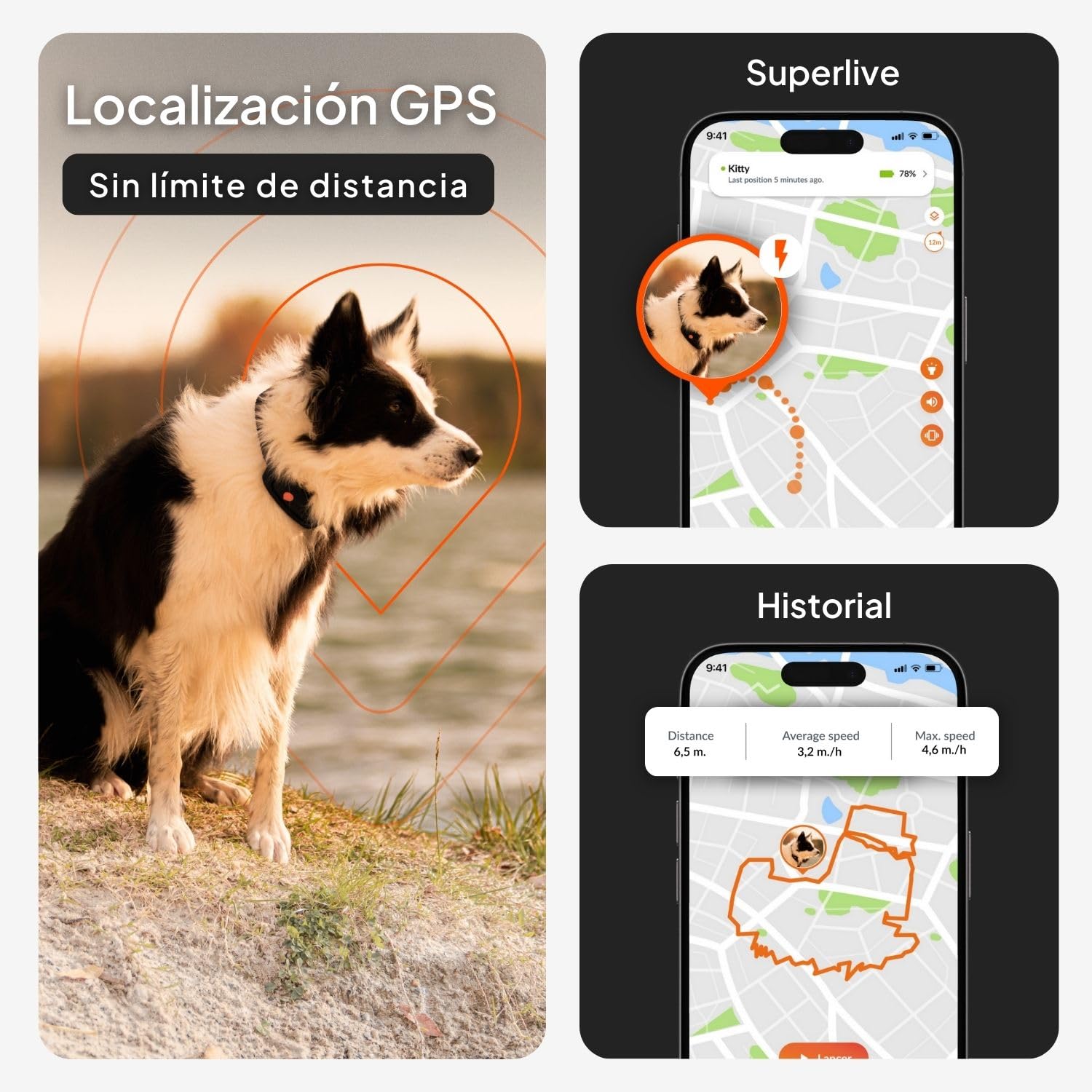 Weenect Perro XT - Localizador GPS para Perros Sin Collar | Resistente al Agua | Antena XL | Alcance Ilimitado | Garantía de por Vida | Suscripción Requerida