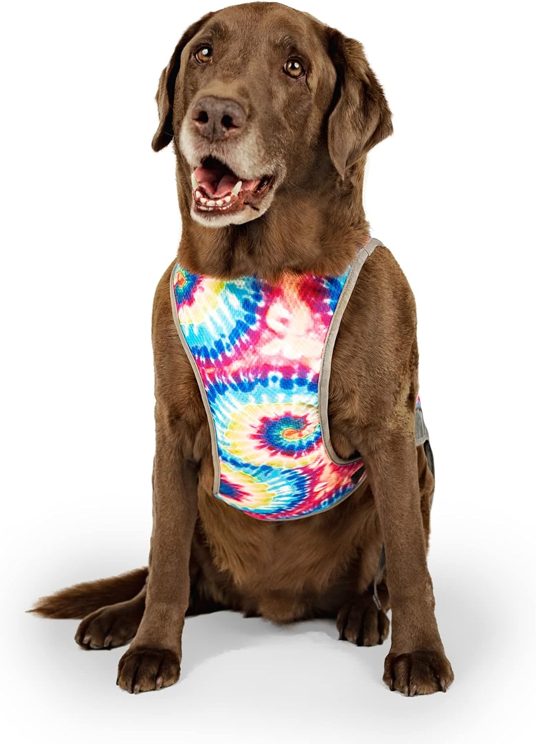 Canada Pooch Dog Cooling Vest - Evaporative Cooling Vest for Dogs with Breathable Mesh Material & Reflective Lining, Adjustable for Dogs 8 (7-9" Back Length), Tie Dye