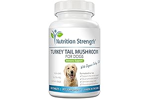Turkey Tail Mushroom for Dogs to Improve Overall Well-being