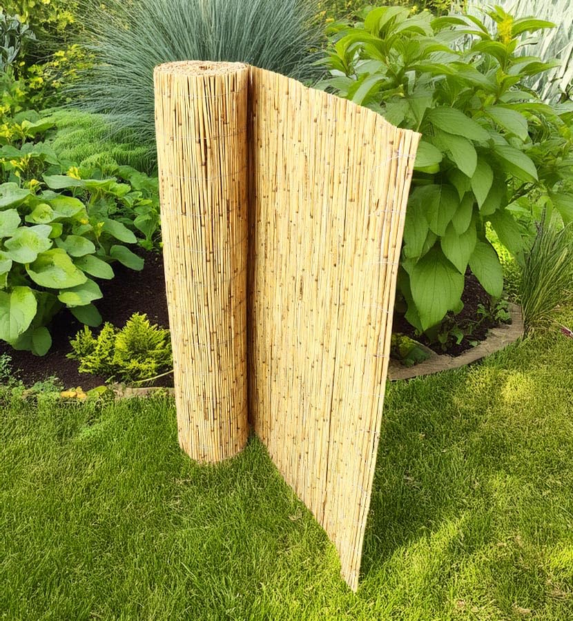 Rieten Mat 160×600 cm - Natuurlijke Wind- en Zichtwering