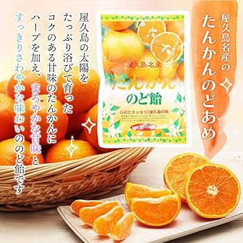 ★まあ★鹿児島産★屋久島★たんかん飴★25日まで取り置き★ 屋久島フルーツ飴 - 屋久島たんかん 訳ありたんかん オレンジジュース