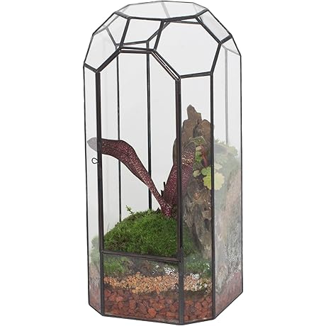 NCYP: Plant Terrarium Large