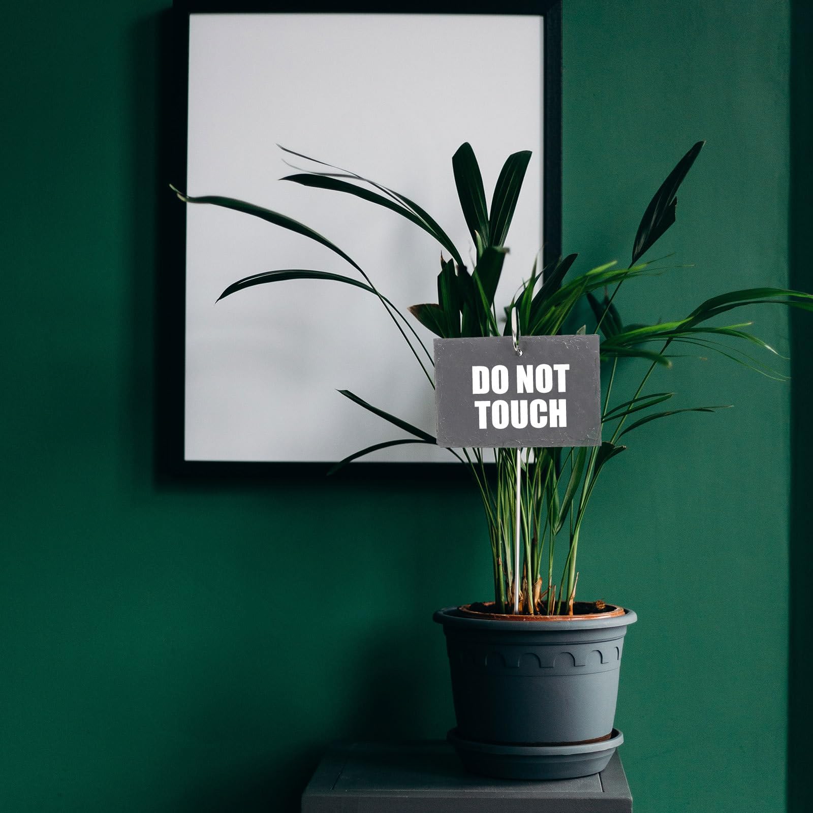 Étiquettes de Plantes en Ardoise Naturelle Noires 10 Pièces Tiges en Métal 40 Cm – Marqueurs de Jardin Solide pour Parterres de Fleurs et Pots, Identification Extérieure