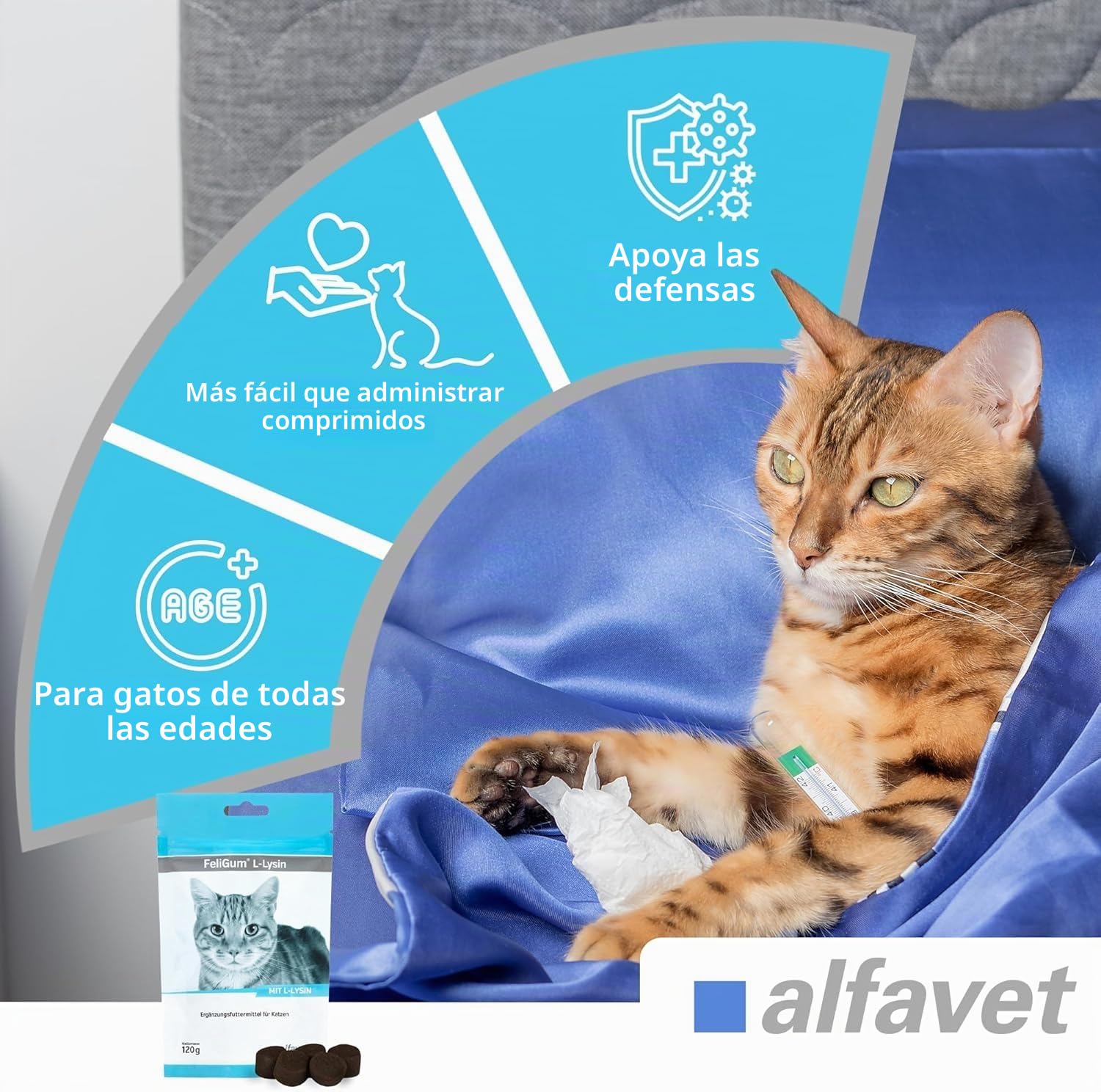 Alfavet FeliGum L-Lysine - Alimento complementario para Gatos resfriados - 3 Bolsas de 120 g, Aprox. 180 Pastillas masticables