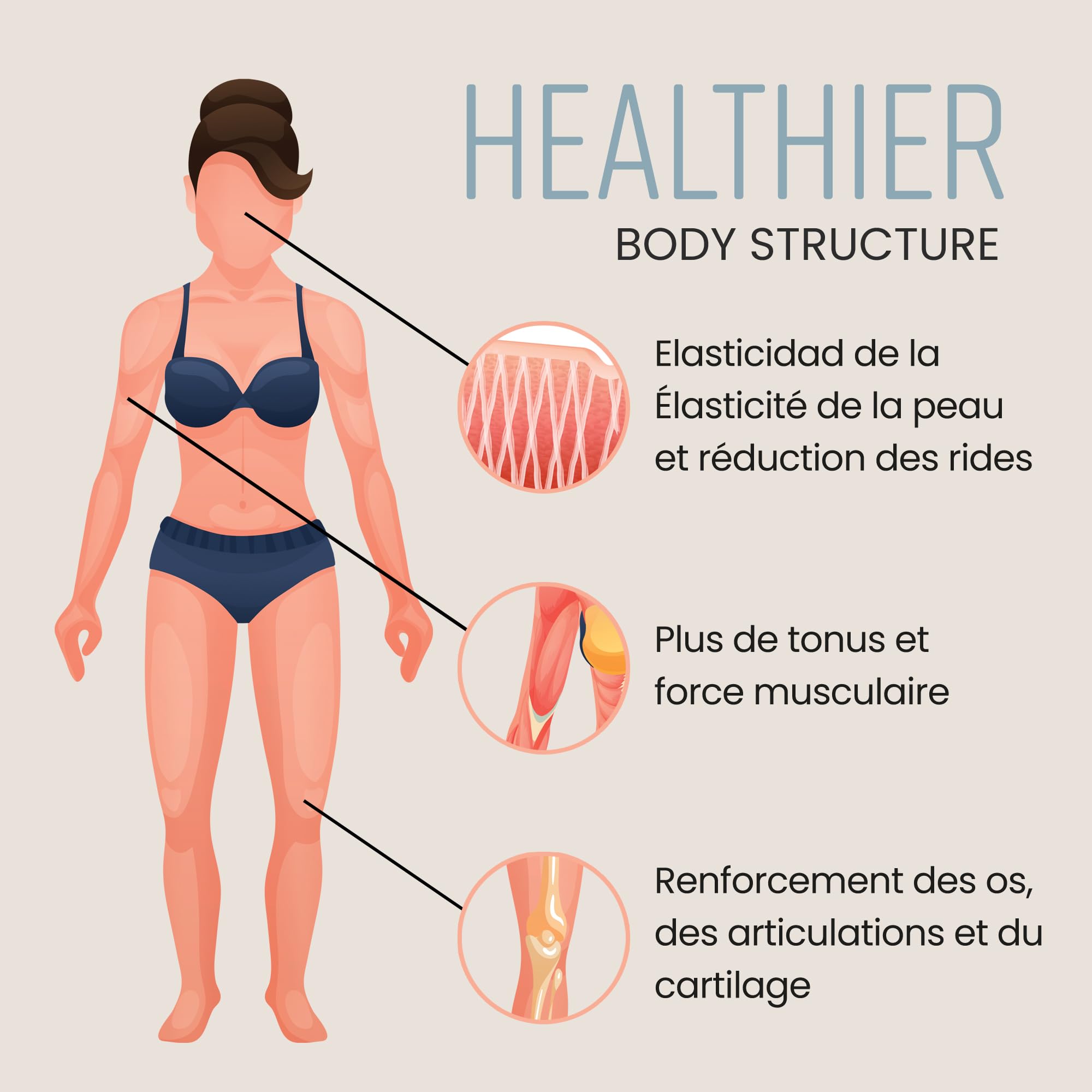 Peptide De Collagene Poudre 500g Collagène Hydrolysé Bovin | Facile à Dissoudre | Collagen Peptides Type 1 et 3 | Collagene Peptide Haute Biodisponibilité | VitaBright Colagene