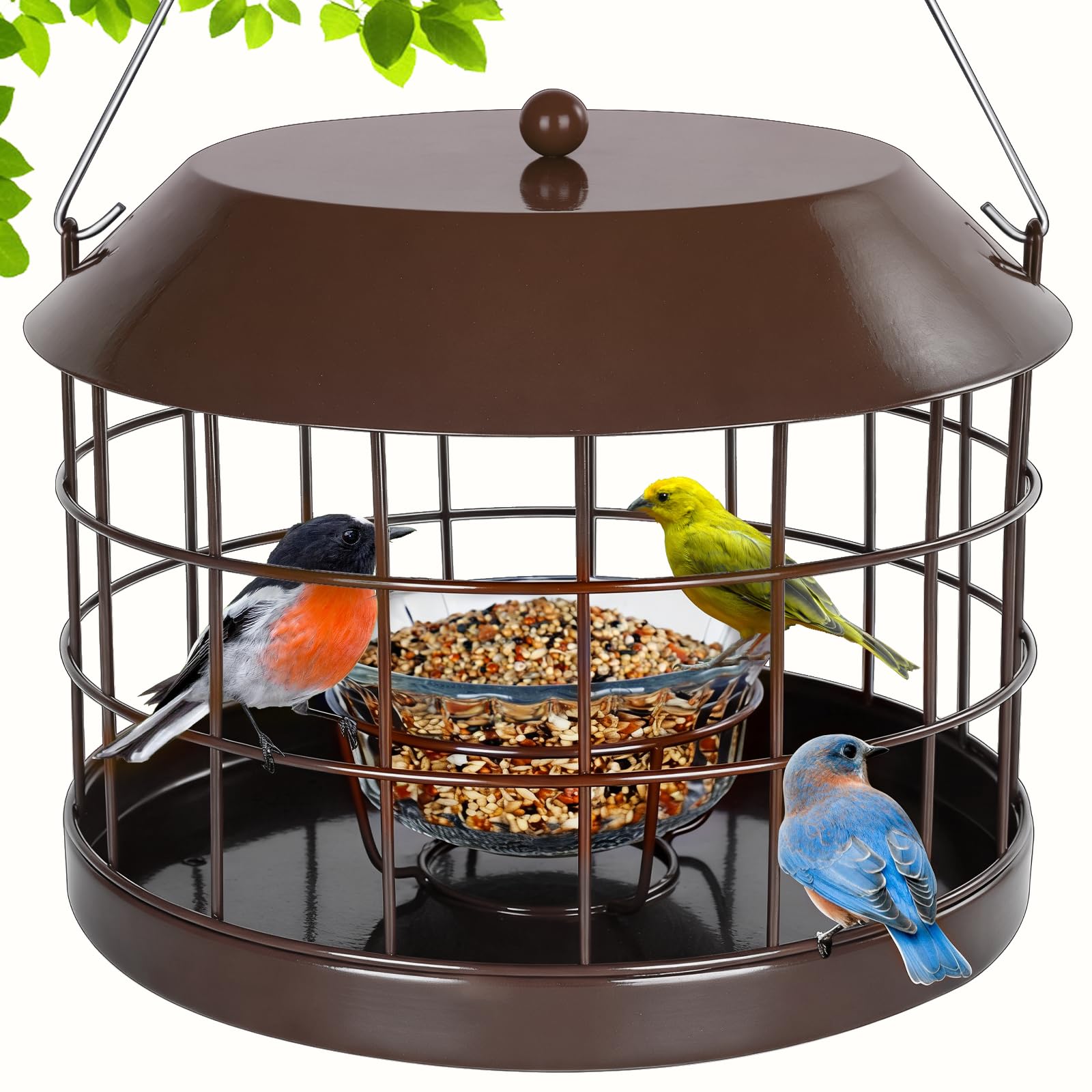 Gbekery Karmnik bluebird w klatce dla robaków mącznikowych ze szklaną miską, odporny na wiewiórki karmnik dla ptaków tylko dla małych ptaków, odpinany haczyk, duża przestrzeń, odporny na warunki