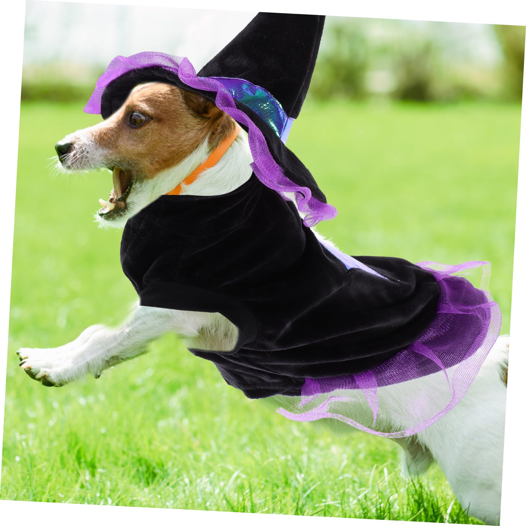 POPETPOP 3 Pezzi Costumi Di Halloween Per Cani Cappello Da Strega E Set Di Vestiti Per Travestimenti Per Animali Domestici Per Halloween E Feste