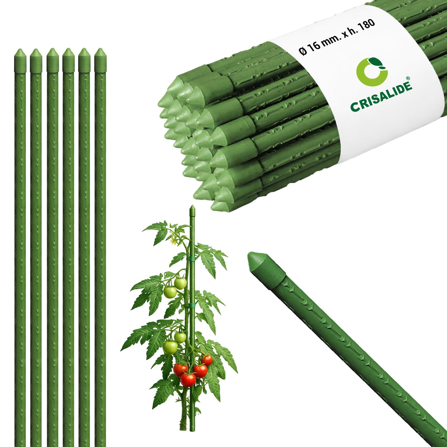 Crisalide® Tutores para plantas 180 cm Ø16 mm de acero plastificado antioxidante, bastones para tomates, huerto y jardín, soporte plantas resistentes, disponibles 5 10 25 unidades (25)