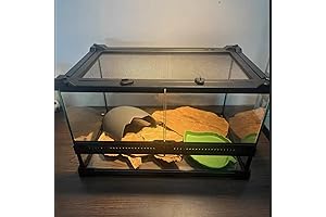 Spacious 20 Gallon Reptile Tank with Escape-Proof Lid