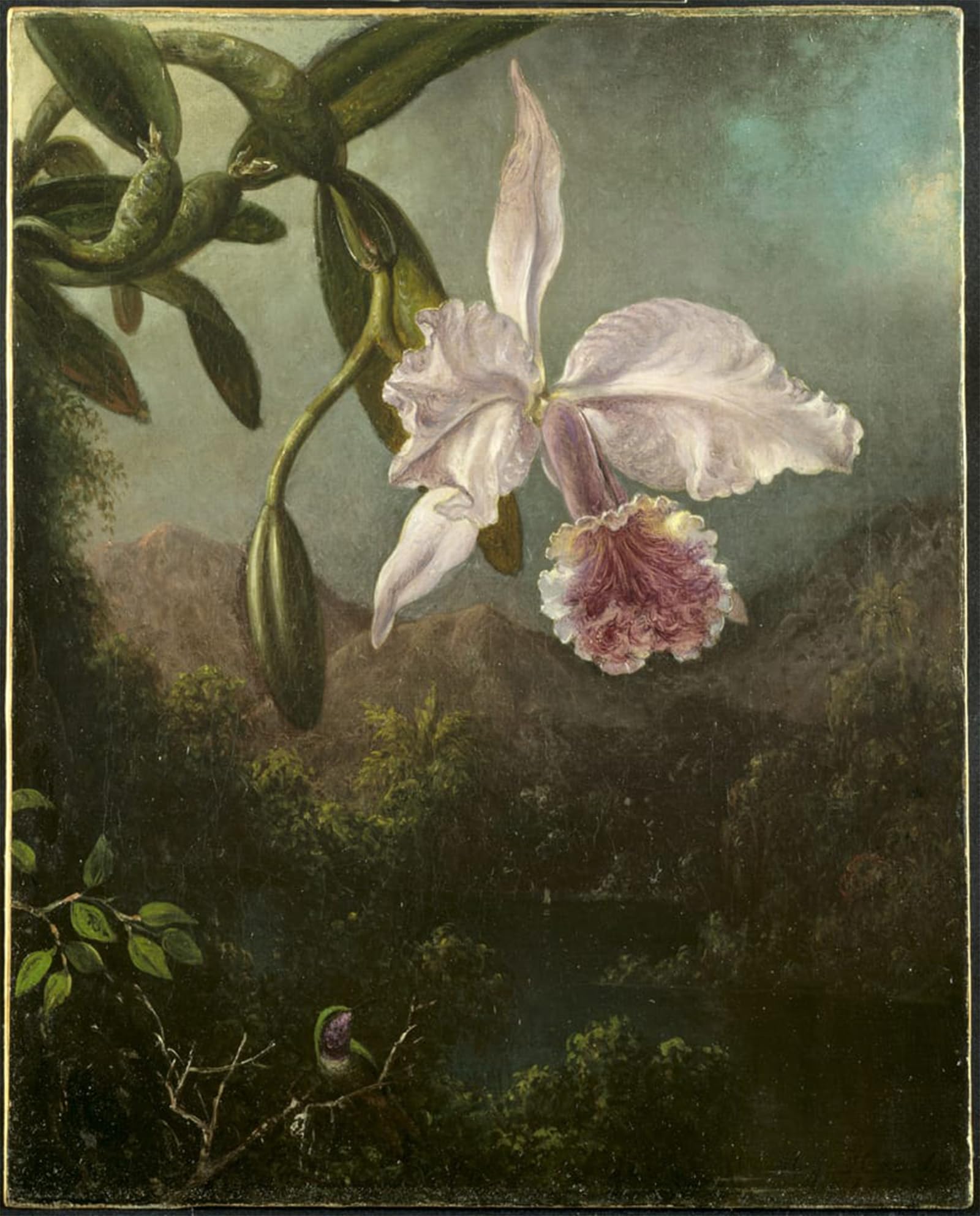 Tableau Toile Orchidées pour Mur Vide Peinture Décorative Heade 60x90 - 5