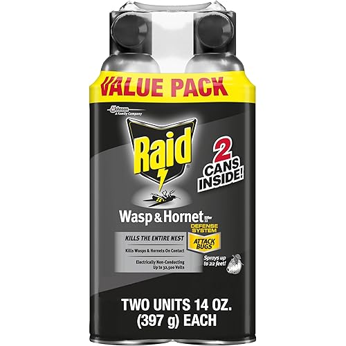 Raid Wasp & Hornet Killer Spray, Bug Killer Kills the Entire Nest, 14 Oz, 2 Count