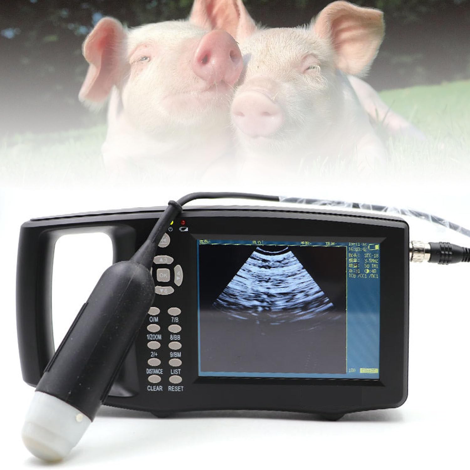 Échographe Vétérinaire, échographe Manuel, avec Sonde 3,5 MHz, échographe B pour Animaux de Ferme, Porcs, Chèvres et Gestation