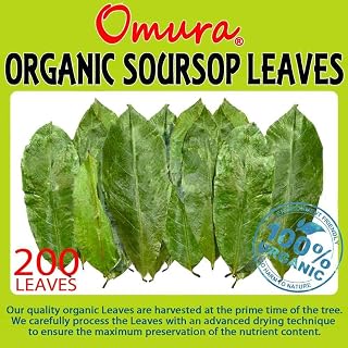 Omura Organic Soursop Guanabana Graviola Guyabano Leaves (200 Leaves)