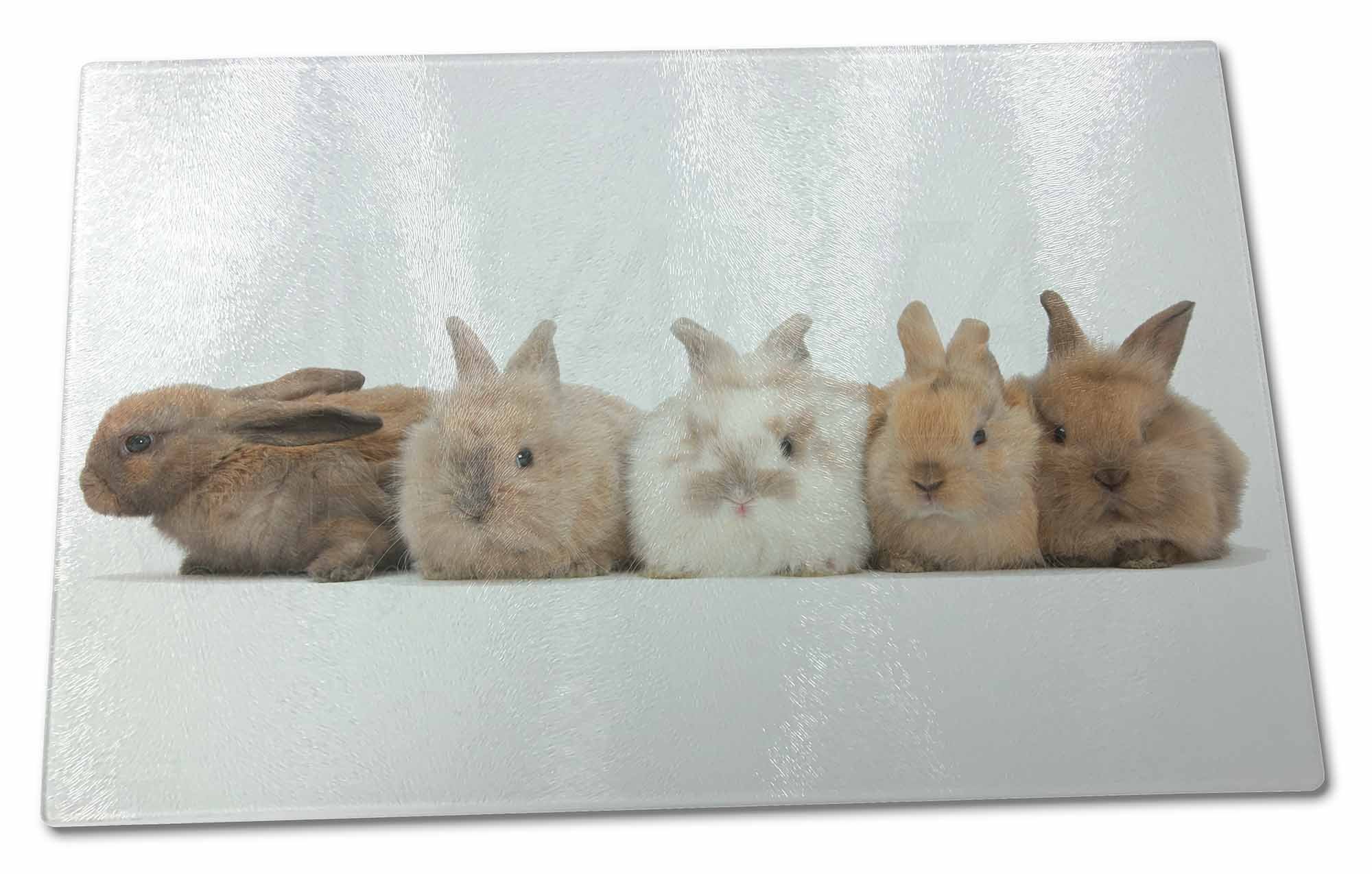 Advanta Group Cute Rabbits X Large Glass Cutting Chopping Board