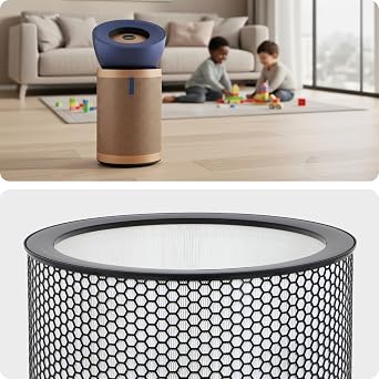 DYSON Big & Quiet Air Purifier Filter BP03 BP04 BP06 True HEPA 972132-01