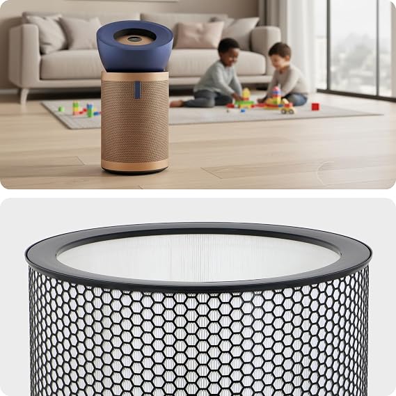 DYSON Big & Quiet Air Purifier Filter BP03 BP04 BP06 True HEPA 972132-01