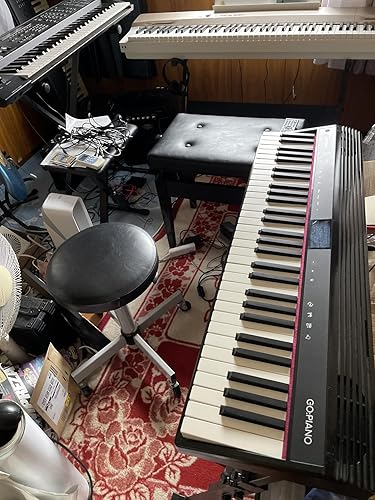 Amazon.co.jp: Roland ローランド GO:PIANO エントリーキーボード GO