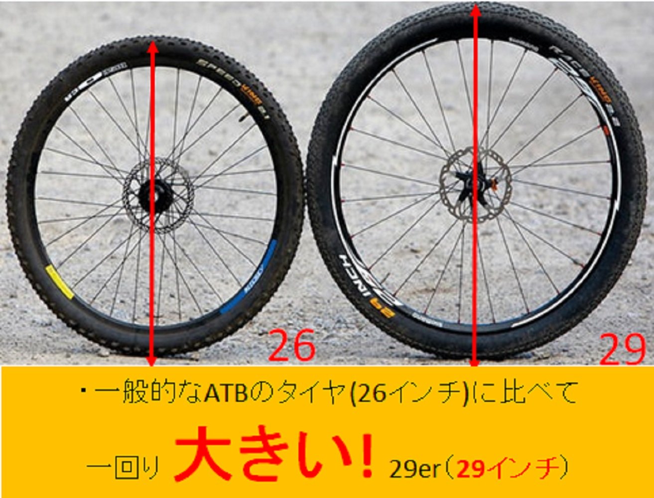 Amazon | キャプテンスタッグ ビッグバイク 29er ダークレッド [ ATB 