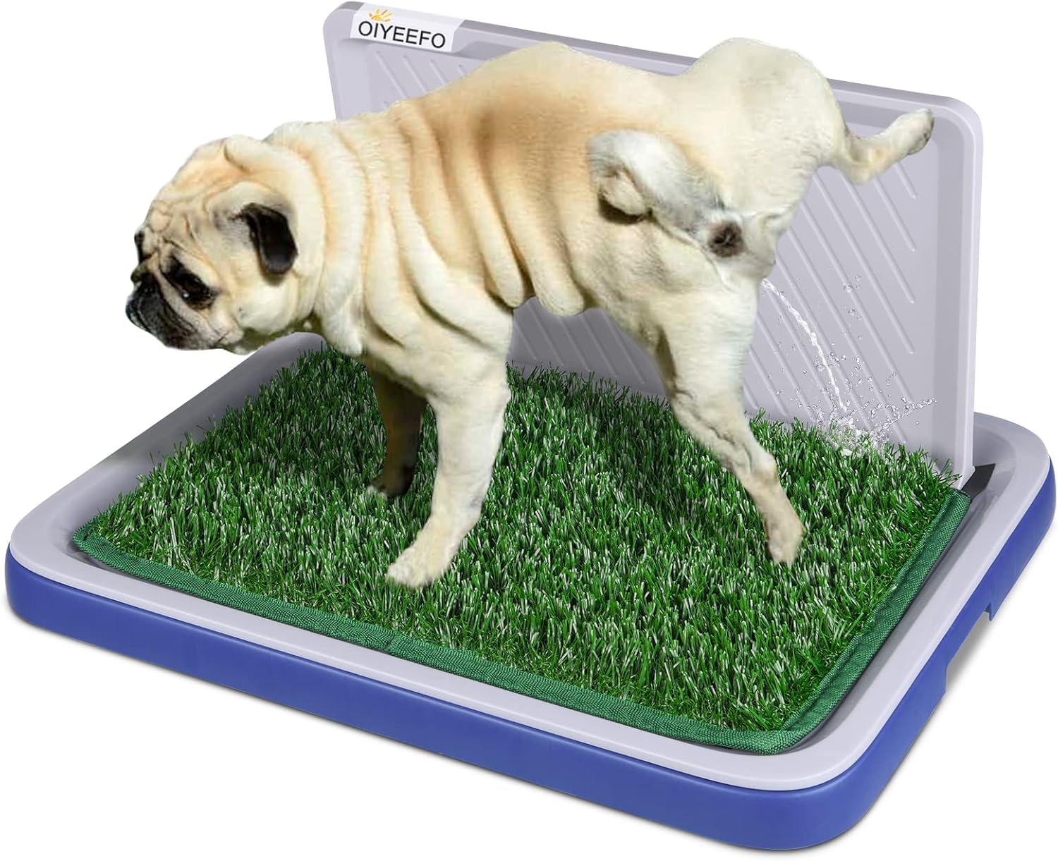 Oiyeefo Dog Grass Pad with Tray with Wall, 2 Pcs Artificial Grass Training Pads with Tray, Dog Grass Porch Potty Tray for Medium Dogs, Portable Dog Patio Potty for Indoor or Outdoor（25 x 19 inches） : Pet Supplies